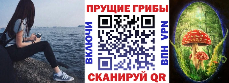 цены наркотик  Вытегра  Галлюциногенные грибы ЛСД 
